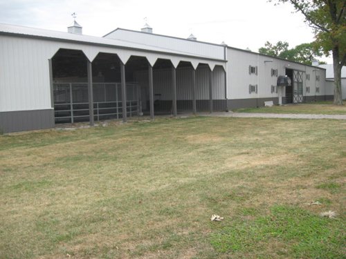 Property photo 84 - 80 Acres Offered in 4 Tracts - Horse Farm